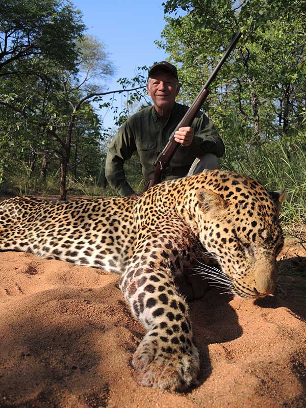 Leopard hunting in Zambia