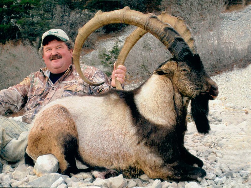 Hunting Bezoar Ibex in Turkey