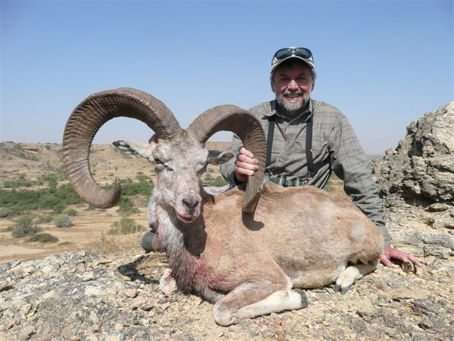 Blanford Urial hunting in Pakistan