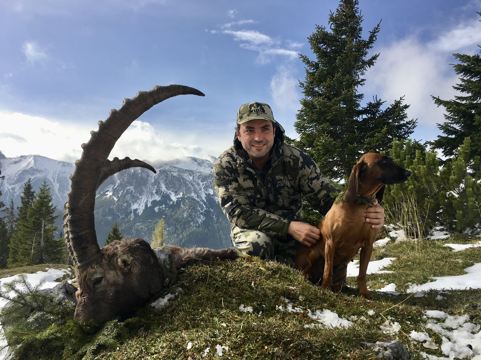 You are currently viewing ALPINE IBEX IN AUSTRIA