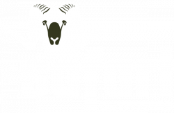 SAFARI_Outfitters_logo