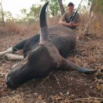 "Hunting in Australia – water buffalos, wild boars and exotic wildlife"