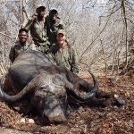 "Hunting safari in Mozambique – buffalos, leopards and wild plains"
