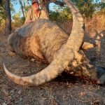 "Hunting in Australia – water buffalos, wild boars and exotic wildlife"