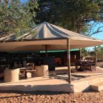 "Hunting in Tanzania – lions, elephants and legendary safaris"