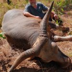 "Hunting in Australia – water buffalos, wild boars and exotic wildlife"
