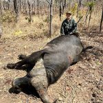 "Hunting in Tanzania – lions, elephants and legendary safaris"