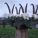 "Big game hunting in Romania – bears, wild boars and Carpathian wolves"
