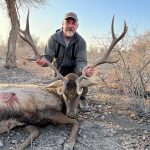 "Hunting in Greenland – (Muskox, Caribou (female), Arctic fox, Snow hare and grouse),caribou bulls