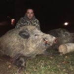 "Hunting in Bulgaria – wild boars, deer and European forests"