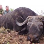 "Hunting in Uganda – kob, buffalos and unique African wildlife"