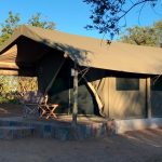 "Hunting in Tanzania – lions, elephants and legendary safaris"