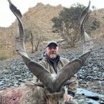 "Hunting in Uzbekistan – ibex, mouflon and steppes"