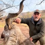 "Hunting in Uzbekistan – ibex, mouflon and steppes"