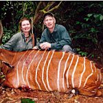 "Big game hunting in Cameroon – bongos, sitatungas and African jungles"