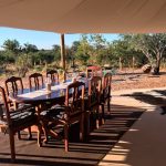 "Hunting in Tanzania – lions, elephants and legendary safaris"