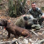 "Hunting in Bulgaria – wild boars, deer and European forests"
