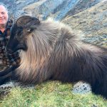 "Hunting in New Zealand – tahr, fallow deer and red stags"