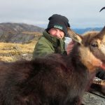 "Hunting in New Zealand – tahr, fallow deer and red stags"