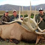 "Hunting in New Zealand – tahr, fallow deer and red stags"