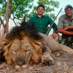 "Hunting safari in Zambia – leopards, hippos and antelopes"
