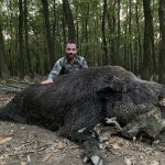 Hunting safaris in Hungary – wild boars, roe deer and red stags"