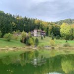 Big game hunting in Austria – red deer, chamois and roe deer in the Alps"