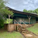 "Hunting in Uganda – kob, buffalos and unique African wildlife"