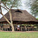 "Hunting in Uganda – kob, buffalos and unique African wildlife"