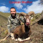 Big game hunting in France – wild boars, roe deer and European hunting"
