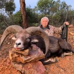 Big game hunting in Spain – driven hunts for wild boar, red deer and mouflon"