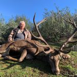 Big game hunting in Spain – driven hunts for wild boar, red deer and mouflon"