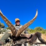 Big game hunting in Spain – driven hunts for wild boar, red deer and mouflon"