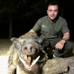 Hunting safaris in Hungary – wild boars, roe deer and red stags"