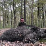 Big game hunting in Austria – red deer, chamois and roe deer in the Alps"