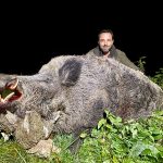 Big game hunting in Austria – red deer, chamois and roe deer in the Alps"