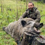 Big game hunting in Austria – red deer, chamois and roe deer in the Alps"
