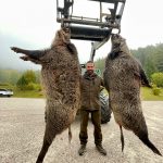 Big game hunting in Austria – red deer, chamois and roe deer in the Alps"