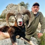 Big game hunting in Spain – driven hunts for wild boar, red deer and mouflon"