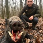 Hunting safaris in Hungary – wild boars, roe deer and red stags"