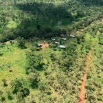 "Hunting in Australia – water buffalos, wild boars and exotic wildlife"