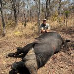 "Hunting in Tanzania – lions, elephants and legendary safaris"