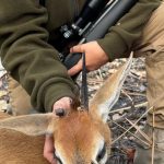 "Hunting in Tanzania – lions, elephants and legendary safaris"