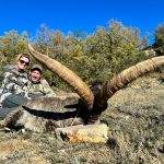 Big game hunting in Spain – driven hunts for wild boar, red deer and mouflon"