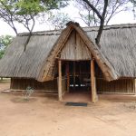 "Hunting in Uganda – kob, buffalos and unique African wildlife"