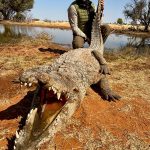 "Hunting safaris in South Africa – rhinos, buffalos and antelopes"