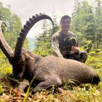 Big game hunting in Austria – red deer, chamois and roe deer in the Alps"