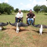 "Hunting in Uganda – kob, buffalos and unique African wildlife"