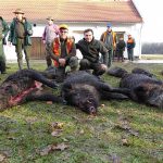 Hunting in Croatia – roe deer, wild boars and hunting in the Balkans"