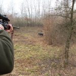 Hunting in Croatia – roe deer, wild boars and hunting in the Balkans"
